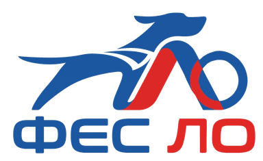 Логотип РОО ФЕС ЛО